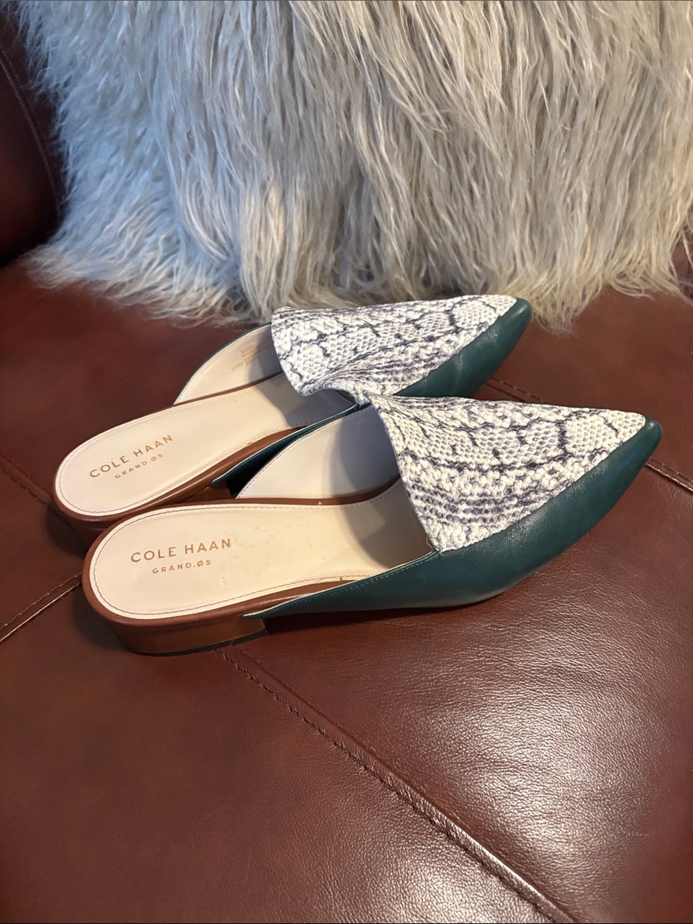 Cole Haan Women's Green & White Snake-Print Leather Mules 9